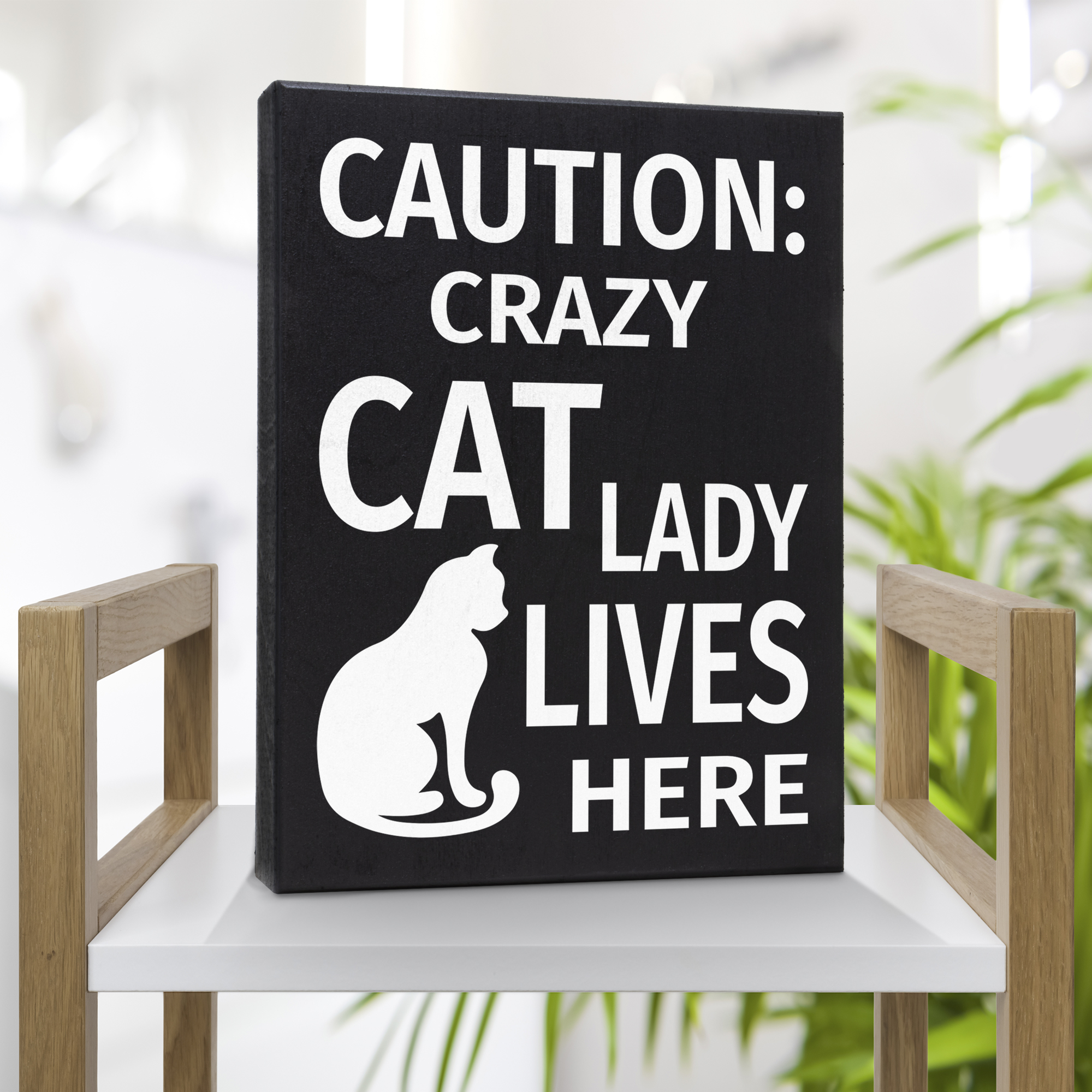 Cat - I'm the crazy cat lady Welcome to the crazy cat house Funny